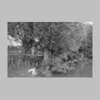039-0018 Am Teich bei den Weiden in der  Naehe vom Anwesen Zoellner .jpg